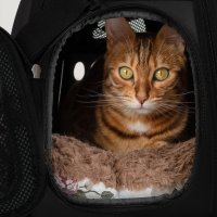 Чанта за транспорт на кучета, котки и други дом. любимци, снимка 7 - За котки - 42263455