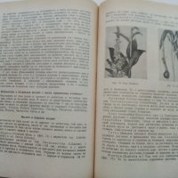 Фуражно производство - К.Павлов,Я.Якимова - 1960 г., снимка 10 - Специализирана литература - 30433979