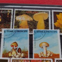 Пощенски марки серия Растения, Гъби стари редки за колекция декорация - 22024, снимка 6 - Филателия - 36641512