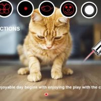 Акумулаторна играчка за котка, лазерна писалка, червена светлина, снимка 9 - Друга електроника - 40139179