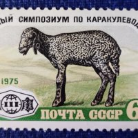 СССР, 1975 г. - единична марка, чиста, фауна, 1*12, снимка 1 - Филателия - 37369553