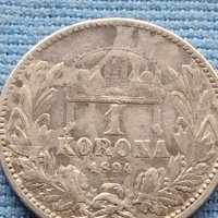 Сребърна монета 0.835 проба 1 крона 1894г. Австро - Унгария Франц Йосиф първи 39633, снимка 6 - Нумизматика и бонистика - 42752326