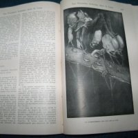 Две книги на Хърбърт Уелс издание 1917г. с илюстрации, снимка 10 - Художествена литература - 29223505
