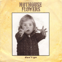 Грамофонни плочи Hothouse Flowers – Don't Go 7" сингъл, снимка 1 - Грамофонни плочи - 44775051