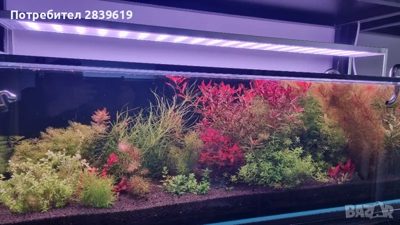 Пинсети,ножица и лопатка за изравняване на грунда.Комплект за поддръжка на растителен аквариум, снимка 1