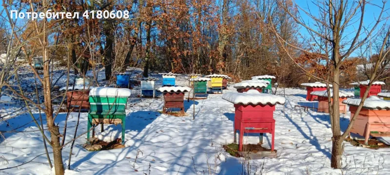 Пчелни кошери , снимка 1