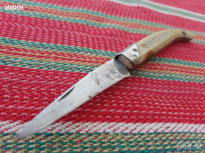 Ножка сойка, снимка 1