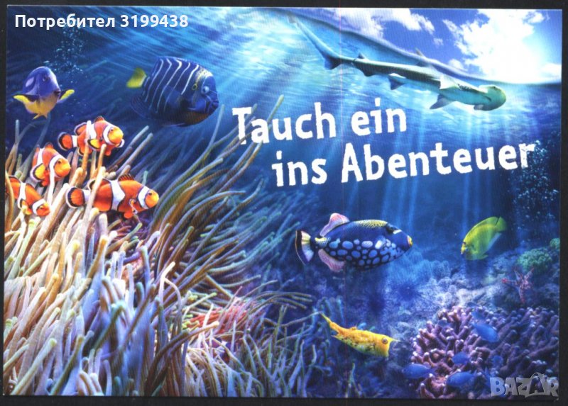 Рекламна картичка Фауна Риби Зоопарк от Германия, снимка 1