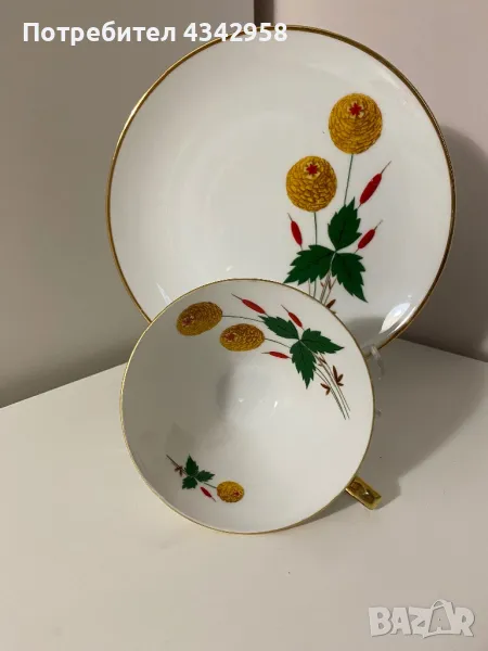 Winterling Roslau. Bavaria. 1950. Порцеланова чаша и чиния , снимка 1