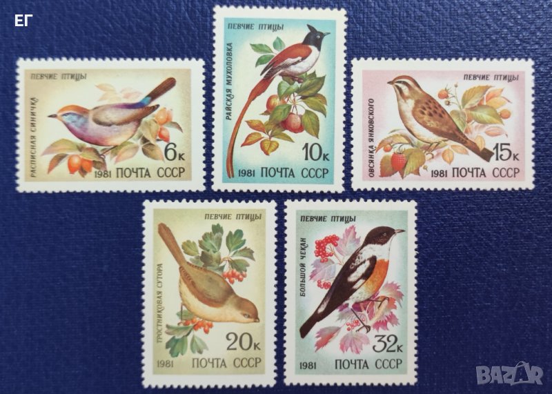 СССР, 1981 г. - пълна серия чисти марки, птици, 1*27, снимка 1