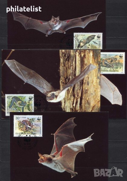 България 1989 - 4 броя Карти Максимум - WWF - Прилепи, снимка 1