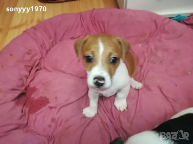 АЗ СЪМ СЛАДКО БЕБЕ ДЖАК,ТЪРСЯ НОВИЯ СИ ДОМ 0102251734