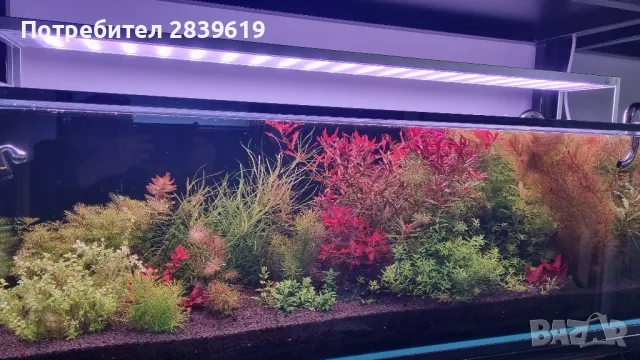 Пинсети,ножица и лопатка за изравняване на грунда.Комплект за поддръжка на растителен аквариум