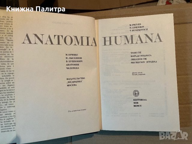 ANATOMIA HUMANA TOMO III, снимка 2 - Специализирана литература - 40371048