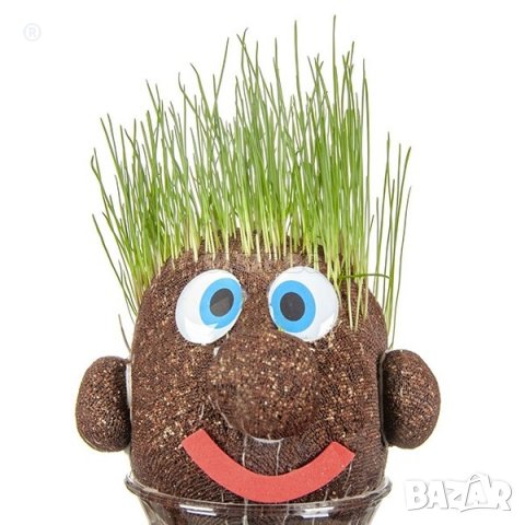 Зеленият ЧИЧКО ТРЕВИЧКО е ТУК, снимка 2 - Образователни игри - 40143037