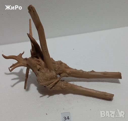 Корен от Азалия /декорация/ 34, снимка 2 - Други - 54093499