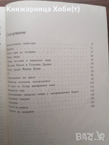 Величка Настрадинова - Несериозни разкази , снимка 4 - Художествена литература - 39554906