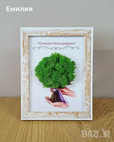 Декорация със скандинавски мъх, снимка 1