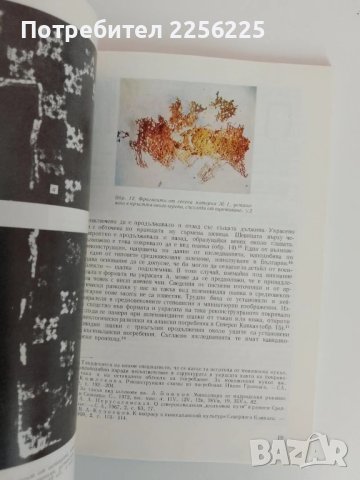 Калояновото погребение, снимка 2 - Специализирана литература - 51089524