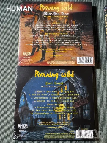 Running Wild , снимка 3 - CD дискове - 50388566