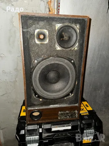 Тонколона, снимка 1