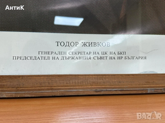 Голям Портрет на Тодор Живков, снимка 4 - Антикварни и старинни предмети - 51776881