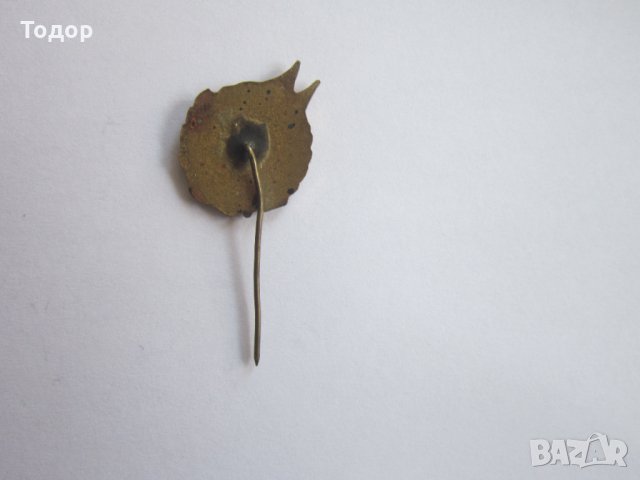 Бронзов знак значка Отличник ОФ емайл, снимка 4 - Колекции - 35036073