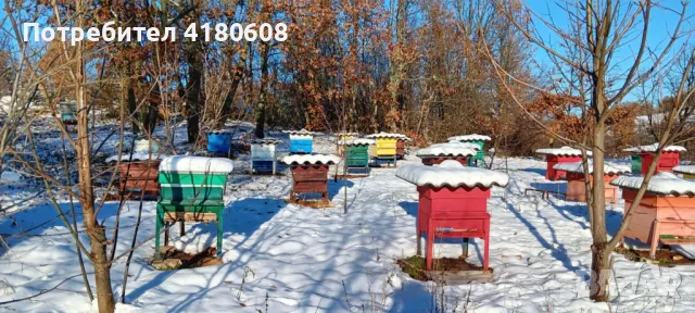 Пчелни кошери , снимка 1