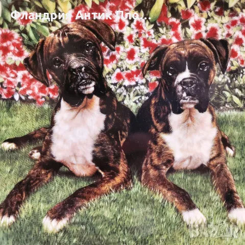 Порцеланова чиния "Togetherness" – Simon Mendez, снимка 2 - Декорация за дома - 49099333