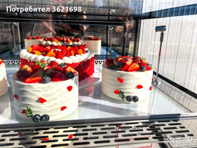 Хладилна витрина 270 литра, CM-900B, снимка 13 - Хладилни витрини и фризери - 52629068