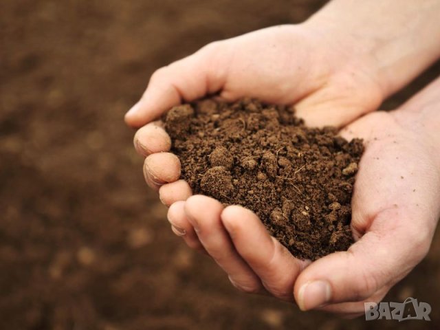 концентрат Био Тор ХУМУС от калифорнийски червеи --Увеличава кълняемостта на семената , снимка 4 - Тор и почвени смеси - 42133380