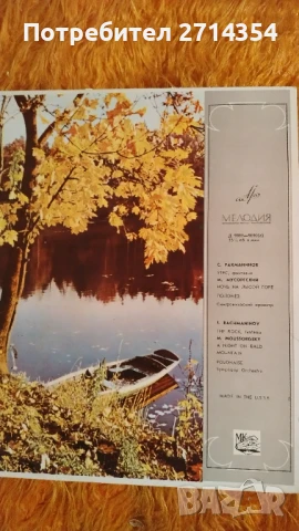 Класическа музика плочи , снимка 2 - Грамофонни плочи - 50475995