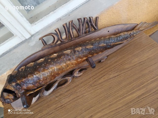 Трофей, Риболовен трофей щука от ДУНАВ, на над 50 години, снимка 7 - Декорация за дома - 37053412