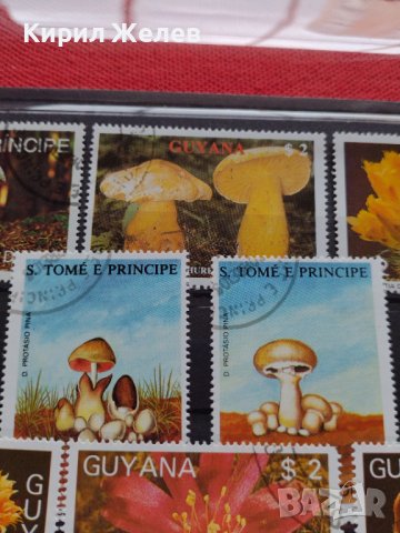 Пощенски марки серия Растения, Гъби стари редки за колекция декорация - 22024, снимка 6 - Филателия - 36641512