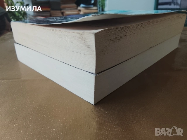 Тайната съпруга / Изгубената принцеса - Джил Пол, снимка 3 - Художествена литература - 53174828