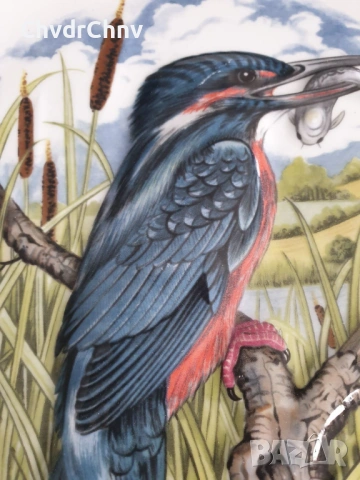 Royal Worcester Spode/Hammersley 23см/английска порцеланова чиния/релефна-птица, снимка 3 - Картини - 53950652