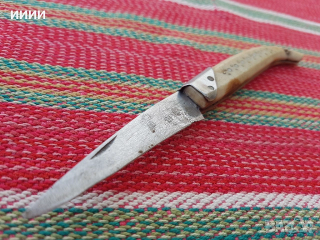 Ножка сойка