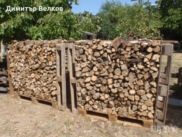 Продавам дърва за огрев, снимка 2 - Дърва за огрев - 55778814