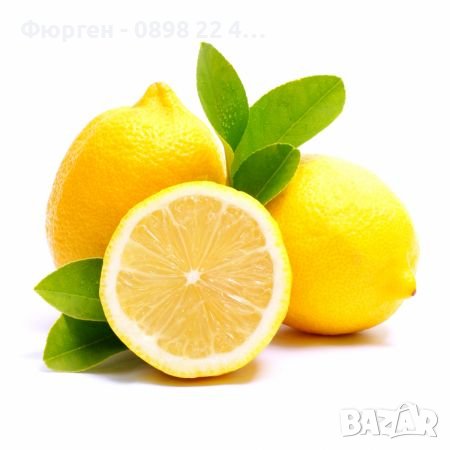Лимон - Облагороден, снимка 2 - Разсади - 37617023