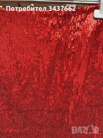 Пола пайети , снимка 3 - Поли - 42745598