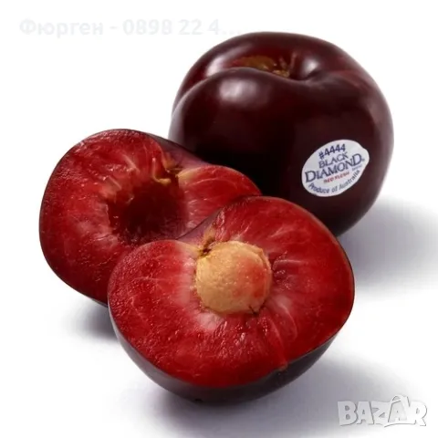 Слива - Черен диамант (Блек Даймънд), снимка 3 - Разсади - 48045666