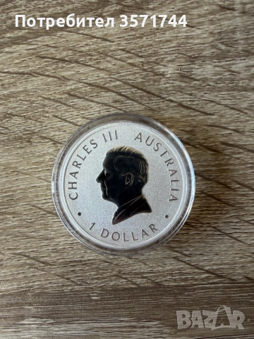 Сребърна Монета 1 унция Коала 1 oz Австралийска Коала 2024 Капсулирана, снимка 2 - Нумизматика и бонистика - 52800630