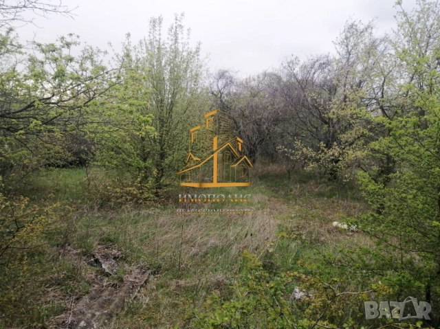 🆙Парцел - м-т Перчемлията, Област Варна (Обява N:774799) 🍀