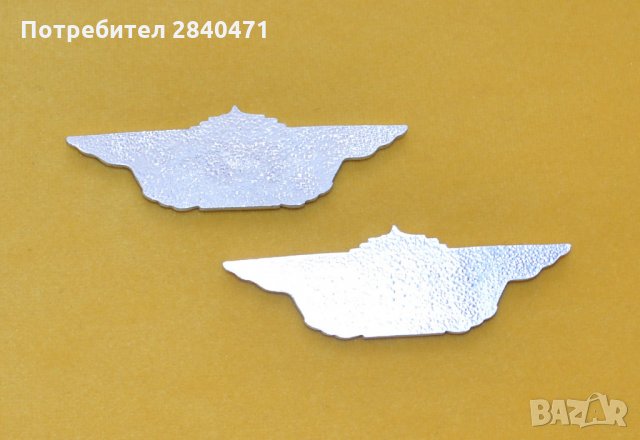 Значки за класна специалност в БНА , снимка 2 - Колекции - 31810756