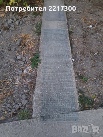 Продавам калифорнийски зайци, снимка 5 - Други животни - 38399540