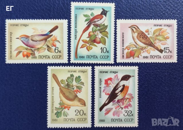 СССР, 1981 г. - пълна серия чисти марки, птици, 1*27, снимка 1 - Филателия - 37602160