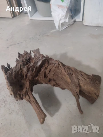 Огромни Мангров корен 50+см. 60 - 85лв. , снимка 3 - Оборудване за аквариуми - 51042014