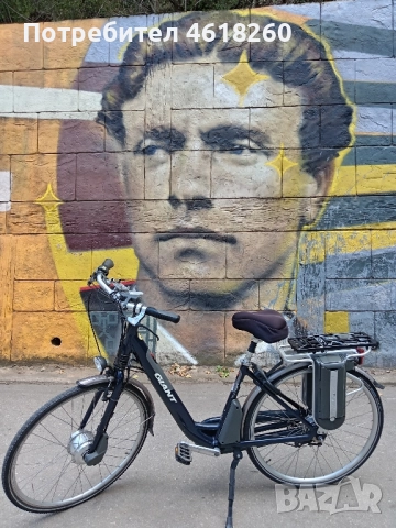 Електрически велосипед Giant Twist Comfort CS, снимка 8 - Велосипеди - 51998638