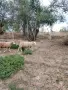 продавам ил дьо франс мъжки, снимка 3