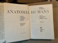 ANATOMIA HUMANA TOMO III, снимка 2